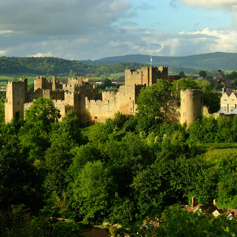 Purevision PVR Cylinder Stove