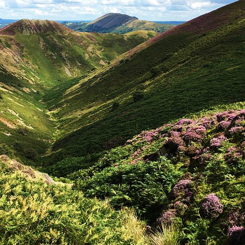 Stovax Cavendish Bolection