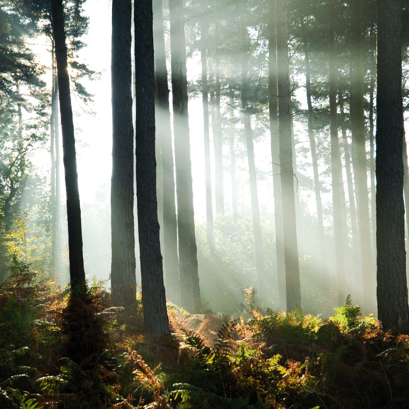 Media Wall Install by Grate Ideas